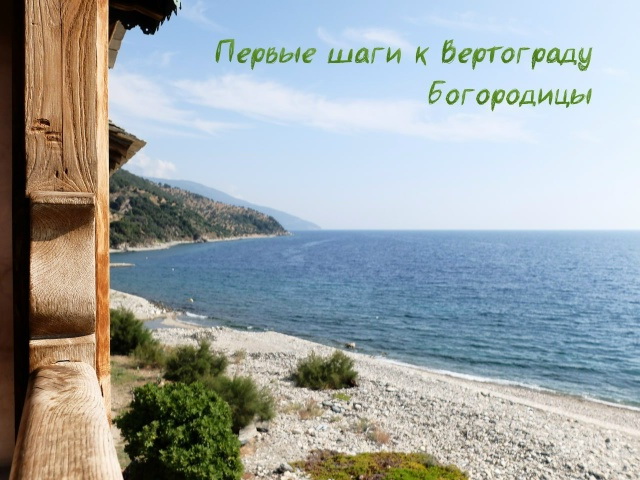 лекция о. виталия 21 декабря 2025 лекция о. виталия 21 декабря 2025